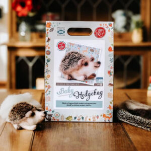Baby Hedgehog Needle Felting Kit (1)
